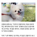 공감 - 보령시 돈바탕길 15 | 공감
