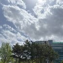 대전을지대학교병원 | [병원] 대전 둔산동 대전을지대학교 병원 1인실 후기..