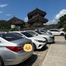 해바라기 | 🌻 경주 1박 2일 여행 + 바실라 해바라기 카페 후기