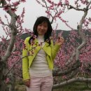 연제구-017 Daum카페