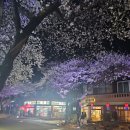 세븐일레븐 제주전농로점 이미지