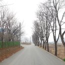 술샘체육관 이미지