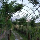 천진초등학교 이미지