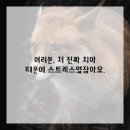 드라마치과의원 | 드디어 내 인생 치과 찾았다! 긴장 끝에 만난 완벽한 치과 후기 풀어봄