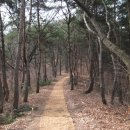 대구광역시 군위군 군위읍 (간주막산.마정산) 산행 이미지