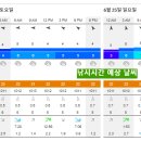 (예약완료).....6월24일 토요일 여수권 이카메탈 한치 이미지