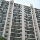 무궁화태영 이미지