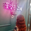 쉐리헤어