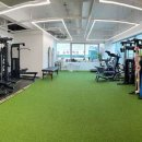 STEADY FIT 이미지