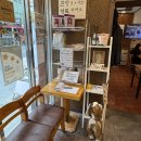 88완당집 이미지