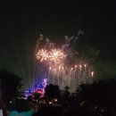 La La Land | 미국 LA 디즈니랜드 후기 공홈 어플 예약법, 캘리포니아 어드벤처 어트랙션 퍼레이드와 불꽃놀이