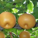 빛나는 휘트니스 이미지