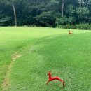 티샷 골프연습장 이미지