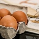 시바나라 이미지