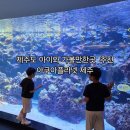 ㈜한타제주판매 | 제주도 가볼만한곳 아쿠아플라넷 제주 주말방문후기