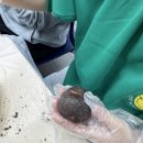 엠제이영수학원 - 고양시 덕양구 도래울1로 55 | 엠제이영수학원