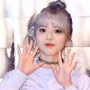 지수연 카카오 검색결과
