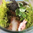 책상 위의 작은 정원, 테라리움 만들기 이미지