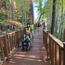 무장애숲 이미지