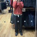 세일테크 | 유니클로 SNS 인기 경량패딩 세일 감사제 대비 퍼프테크 착용 후기