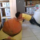 성빈농장 이미지