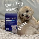 (주)미네랄바이오 | 강아지 묽은변 해결, 페노비스 유산균 복용 후기