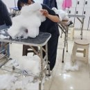 김성균애견미용학원 이미지