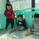 달이네집 이미지