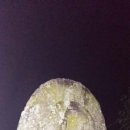 지당리 석불입상 이미지