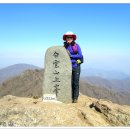 논실농원 이미지