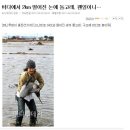 난다고래 이미지