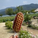 두물머리커피농장