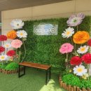 전주화정초병설유치원 이미지