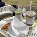 인제천연잔디구장 | 강원도 인제 천연잔디 운동장 애견카페 견로당 방문 후기 (내돈내산)