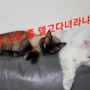 묵현로25번길37 이미지