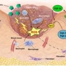 스테이 후 이미지