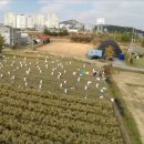 후니농장 이미지