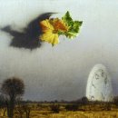 서정적 풍경 이미지