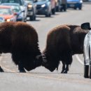 싸움(Fight) 이미지