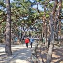기획 1코스 이미지