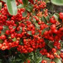 지용농장 이미지