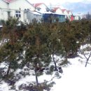 영정농장 이미지