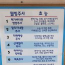 새연정형외과의원 이미지