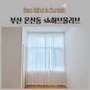 에스케이스크린 - 영등포구 문래로 164 | 부산 온천동 sk허브올리브 쉬폰커튼 차르르커튼 암막블라인드 암막롤스크린 시공후기