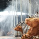 이창재농장 이미지