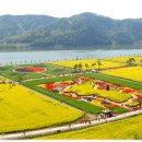 한강시민공원(한강둔치꽃단지) 이미지