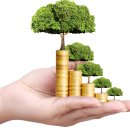 사랑플러스약국 이미지