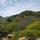 목통산장