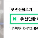 앤(N)고양이병원 이미지