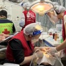 부산외국인서비스센터 이미지